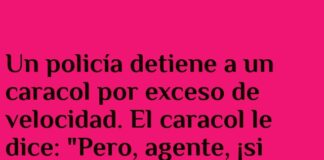 «El caracol veloz y la lechuga mareada»