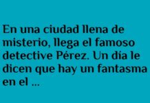 El Caso del Fantasma Planchador