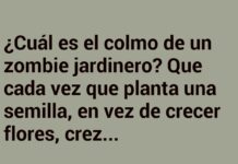 El colmo del jardinero zombi: ¡Flores con piernas!