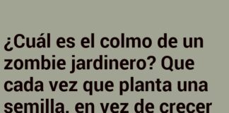 El colmo del jardinero zombi: ¡Flores con piernas!