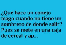 El conejo mago y el desayuno inesperado