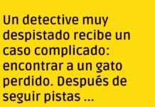 El detective que buscaba maullidos y encontré risas