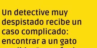 El detective que buscaba maullidos y encontré risas
