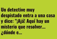 El detective sin brújula doméstica