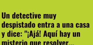 El detective sin brújula doméstica