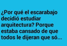 «El Escarabajo con Altas Aspiraciones»