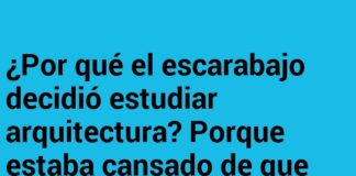 «El Escarabajo con Altas Aspiraciones»