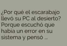 El escarabajo y el escorpión informático