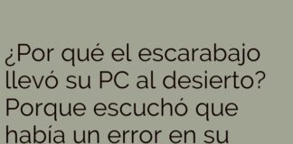 El escarabajo y el escorpión informático