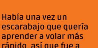El escarabajo y el truco de la linterna