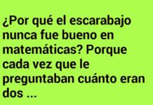 El escarabajo y su prodigio ‘cuatropatas’
