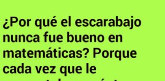 El escarabajo y su prodigio ‘cuatropatas’