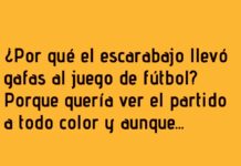 El Escarabajo y Sus Gafas Futboleras
