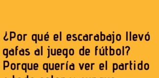 El Escarabajo y Sus Gafas Futboleras
