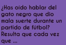 El Gato Futbolero en Fuera de Juego