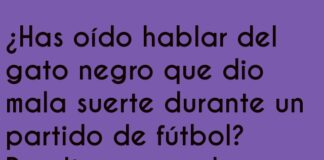 El Gato Futbolero en Fuera de Juego