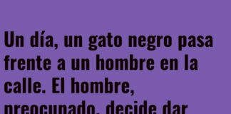 El Gato y la Danza de la Mala Suerte