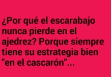 El Gran Maestro del Caparazón