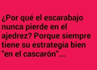 El Gran Maestro del Caparazón