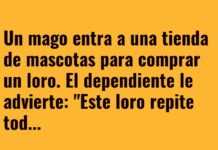 El Loro con Miedo Escénico