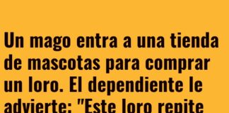 El Loro con Miedo Escénico