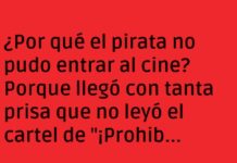 El loro del pirata y el cine