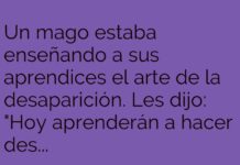 El Loro Mago y la Moneda Fugitiva