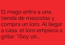 El loro mágico y el mago despistado