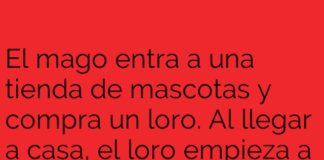 El loro mágico y el mago despistado