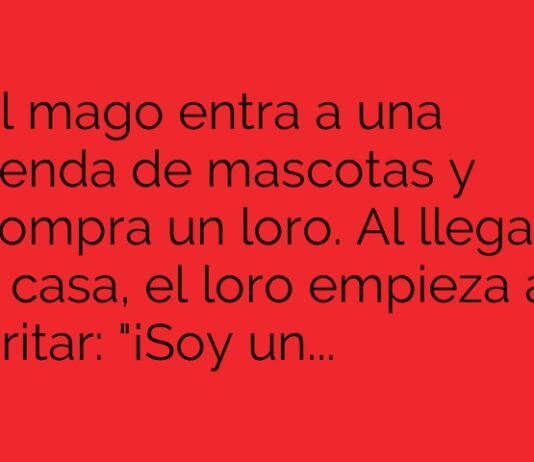 El loro mágico y el mago despistado