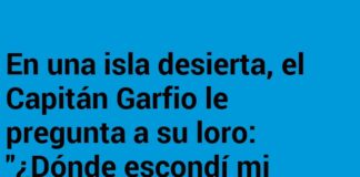 El Loro Rencoroso y el Capitán Olvidadizo