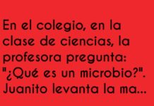 El misterio del microbio en las calificaciones de Juanito
