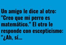 El perro matemático que sabe multiplicar