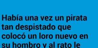 El Pirata y el Loro Olvidadizo