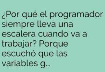El Programador Escalador
