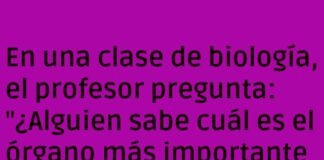 El órgano más importante en el sexo