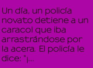 «Exceso de Velocidad Escargótica»