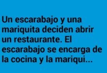 «Exoesmero culinario»