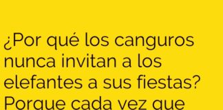 Fiestas de Altura Vetadas para Elefantes