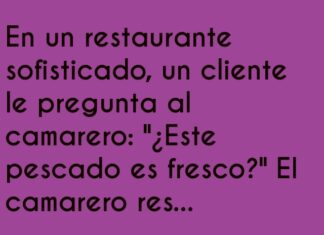«Frescura Garantizada en Tiempo Real»