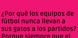 Gatos Tarjetas y Fútbol Desordenado