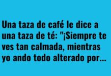 Infusiones para la calma cafetera