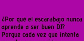 Insecto-ritmo: El DJ que hace vibrar a las hormigas