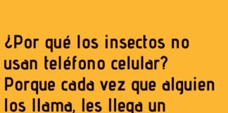 «Insectos sin señal»