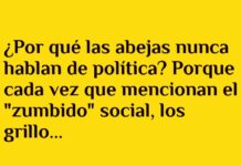 Insectos y el arte de evitar el zumbido político