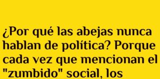 Insectos y el arte de evitar el zumbido político