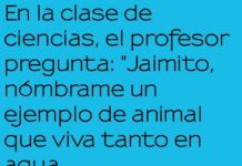 Jaimito y el pez payaso circense