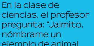 Jaimito y el pez payaso circense