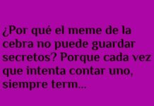 La cebra indiscreta: ¡secreto a todo color!