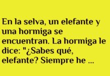 La Hormiga Aventurera y el Reto del Elefante